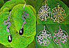 A Fabby Halloween: Chic Spooky Jewels