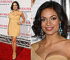 Rosario Dawson at the Seven Pounds Premiere in LA in Bottega Venetta