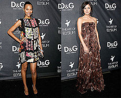 Battle of the D&G: Saldana vs. Stroup 