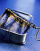 Learn to Love: Sardines