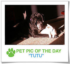 Pet Pics on PetSugar 2009-01-05 09:30:00