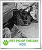 Pet Pics on PetSugar 2009-01-07 09:30:45
