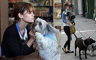 Rachel Bilson and Thurman Murman At the Doggie Day Care