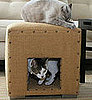 Sugar Shout Out: Win a Cat Scratch Cube!