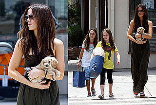 Kate Beckinsale Gets a New Puppy