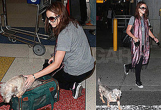 Photos of Leighton Meester With Her Dog; She Recently Spoke at Teen Choice Awards About Gossip Girl
