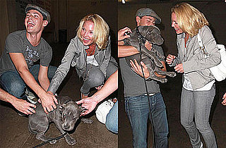 Photos of Katherine Heigl Playing With a Pit Bull