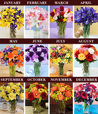 Sugar Shout Out: Win Twelve Months of Flowers!