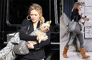 Photos of Hilary Duff With Her Yorkie at the Veterinary Clinic