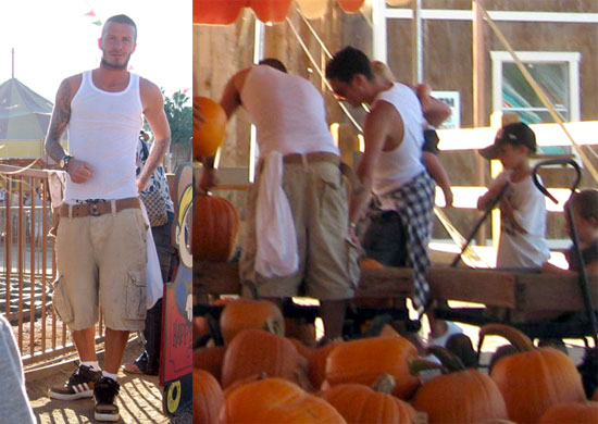 Beckhams at the Pumpkin Patch Beckhams at the Pumpkin Patch