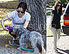 Photos of Rachel Bilson in Los Angeles