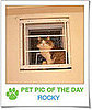 Pet Pics on PetSugar 2008-12-01 09:30:00