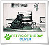 Pet Pics on PetSugar 2008-12-09 09:30:46