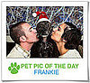 Pet Pics on PetSugar 2008-12-10 09:30:26