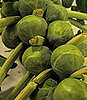 Learn to Love: Brussels Sprouts 
