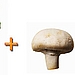 Food Combination: Good or Bad?