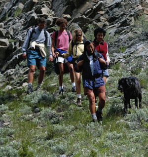 Rant About Dog Poo on the Hiking Trail