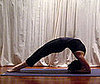 Two-Legged Inverted Staff Pose