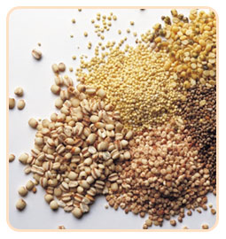 Going with the Grain