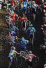 Have You Heard of Cyclo-cross?