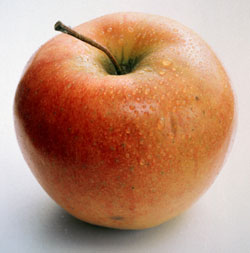 An Apple a Day?