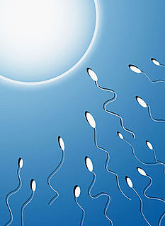 Test Your Sperm Smarts