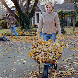 Burn It Up in the Autumn Breeze  