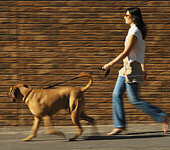 Fit Tip: Take Your Dog (and Yourself) For a Walk  