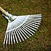 Raking Leaves