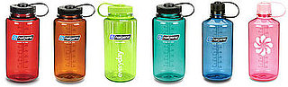 Biggest Headline of 2008: Nalgene and BPA