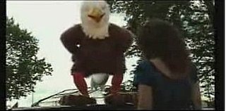 Low-Budge Insurance Commercial