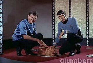 Star Trek Dr. McCoy Says He's Dead