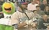 Pittsburgh Pirates Mascot Wants to Get Freaky With You