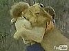Cute Alert: Lion Has Two Daddies