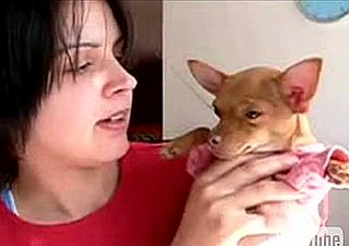Cute Alert: Singing Chihuahua