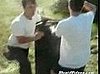 Giant Tire Flattens Innocent Bystander