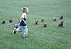 Cute Alert: Puppies Chase Boy
