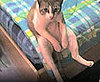 GiggleSugar Best of the Week