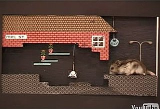 Amazing Hamster Maze