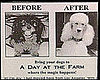 Before and After