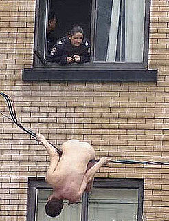 What the Hell Is Going on Here?