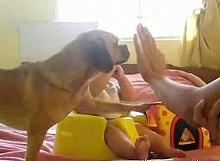 Puppy Steals Baby's Thunder