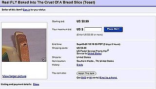 eBay Find of the Day: Fly Baked Into a Piece of Bread