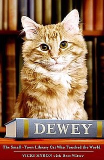 Dewey: The Small-Town Library Cat Who Touched the World
