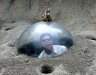 And the Winner of the "What the Hell Is Going On Here?" Contest Is...
