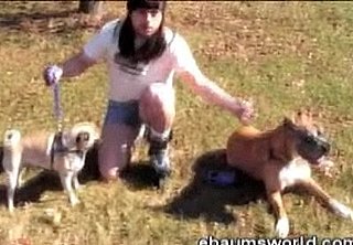 I Like Dogs Because Dogs Are Cool Music Video