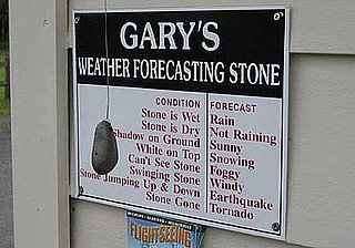 Who Needs the Weather Channel? 