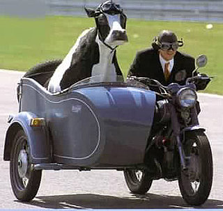 And the Winner of the "What the Hell Is Going on Here Contest?!" Is...