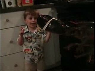 Kid Meets Lobsters
