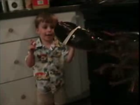 Kid Meets Lobsters